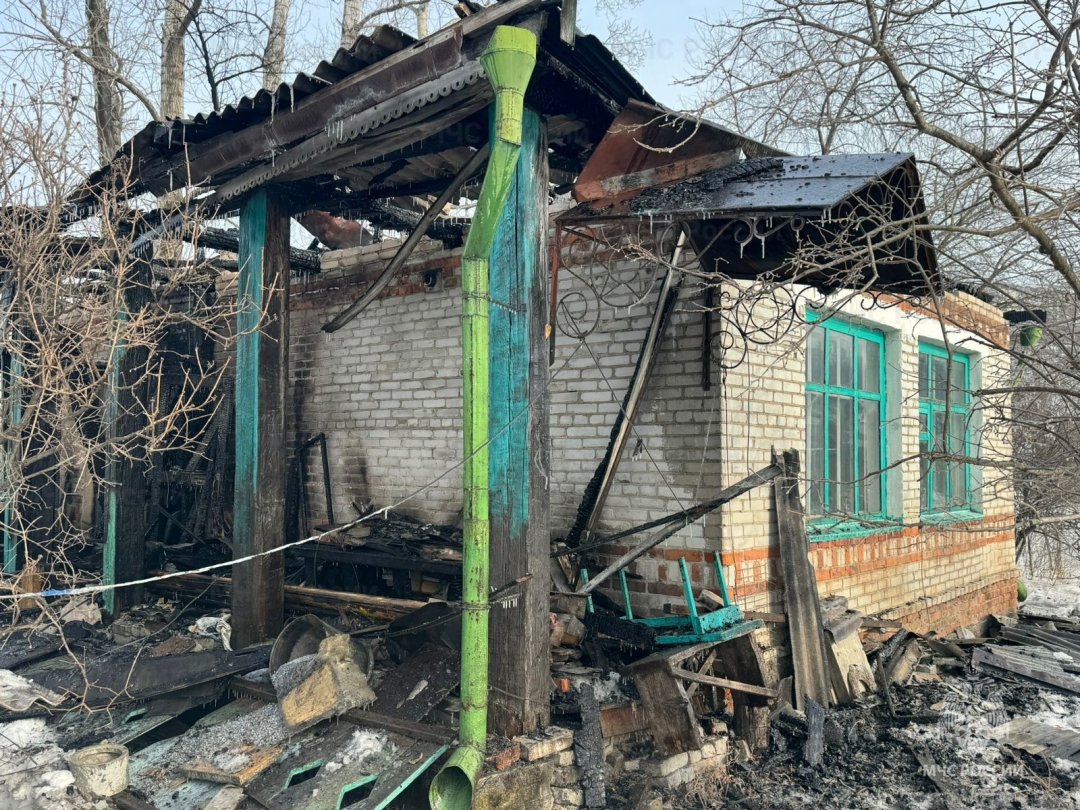 Собаки предупредили хозяев о пожаре в Облученском районе